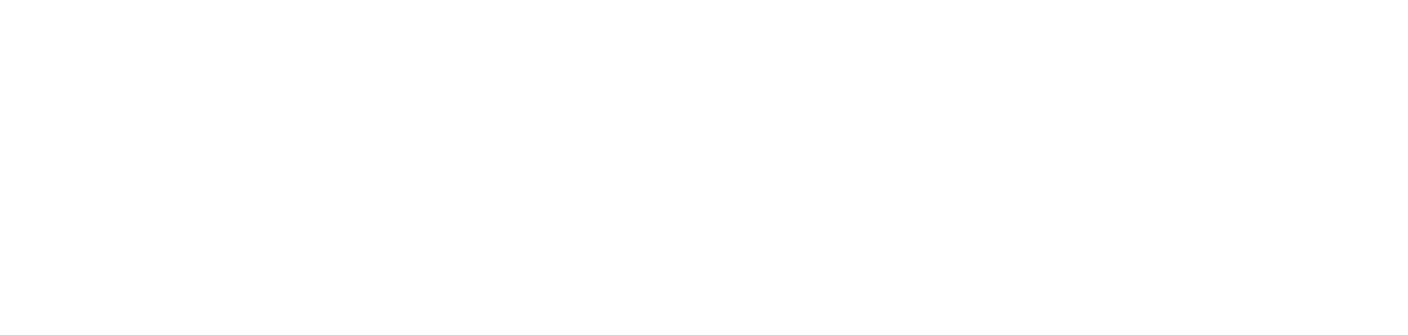 Vectum Business Engineering